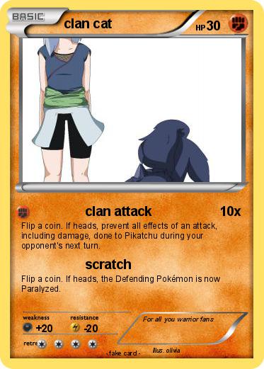 Pokemon clan cat