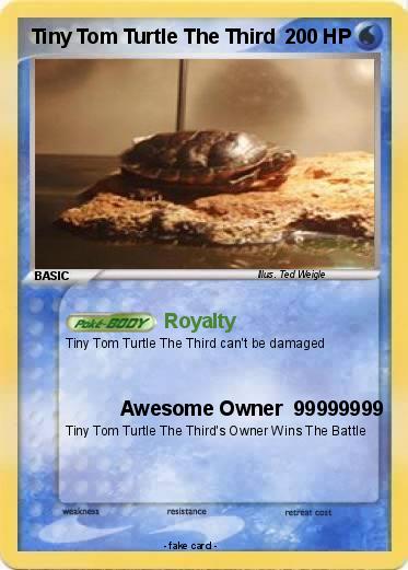 Pokemon Tiny Tom Turtle The Third