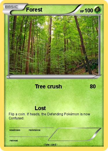Pokemon Forest