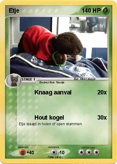 Pokemon Etje