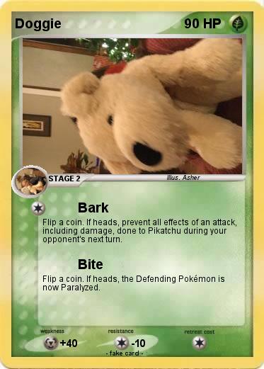 Pokemon Doggie