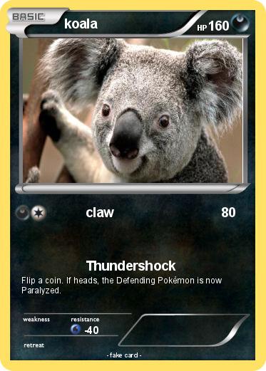 Pokemon koala