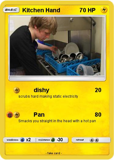 Pokemon Kitchen Hand