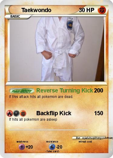 Pokemon Taekwondo
