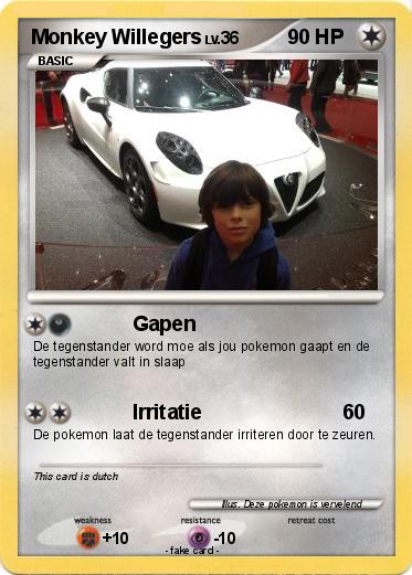 Pokemon Monkey Willegers