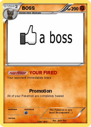 Pokemon BOSS
