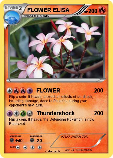 Pokemon FLOWER ELISA