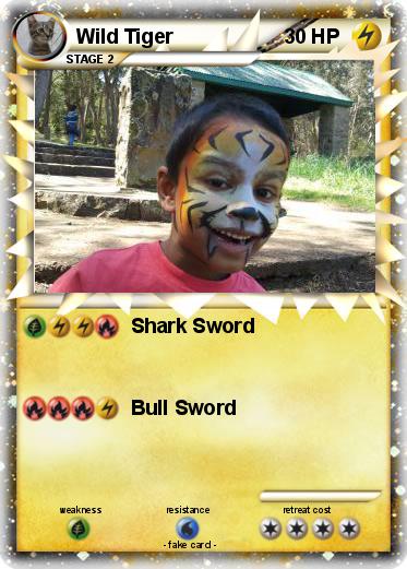 Pokemon Wild Tiger