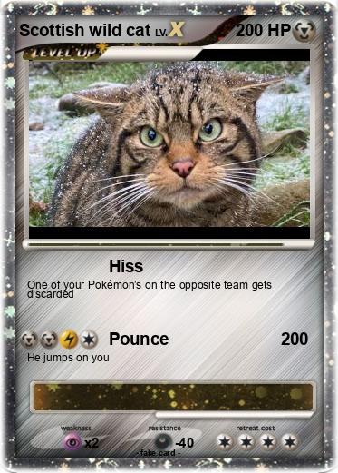 Pokemon Scottish wild cat