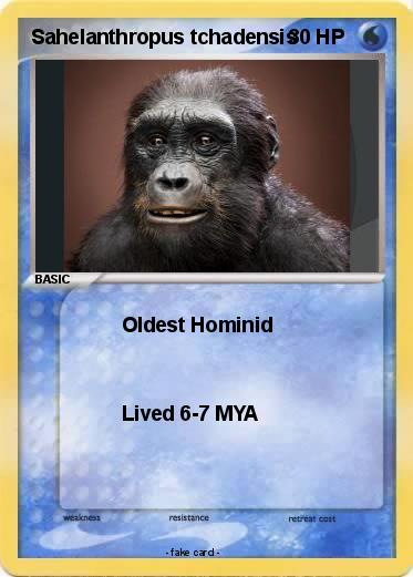 Pokemon Sahelanthropus tchadensis