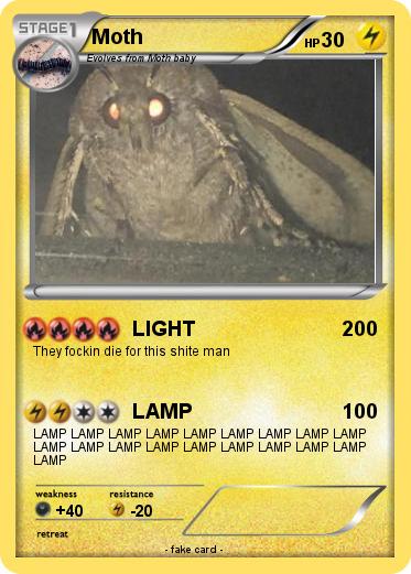 Pokemon Moth