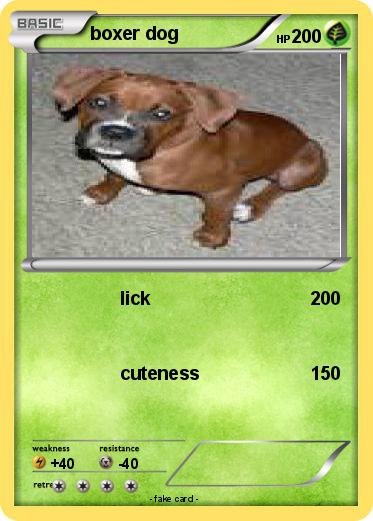 Pokemon boxer dog