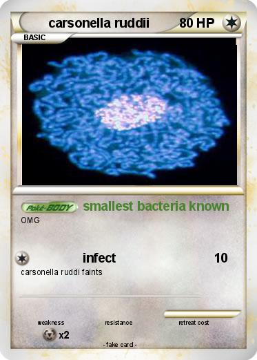 Pokemon carsonella ruddii