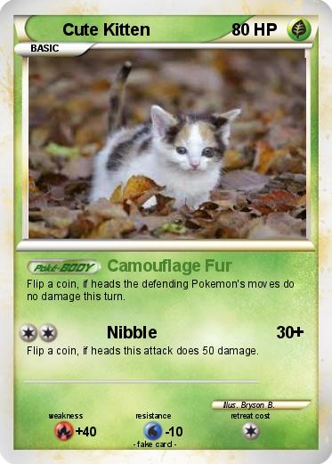 Pokemon Cute Kitten