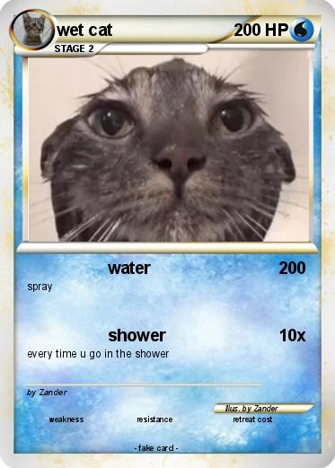 Pokemon wet cat