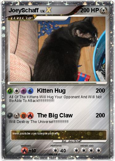Pokemon JoeySchaff