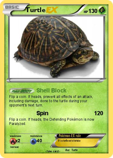 Pokemon Turtle