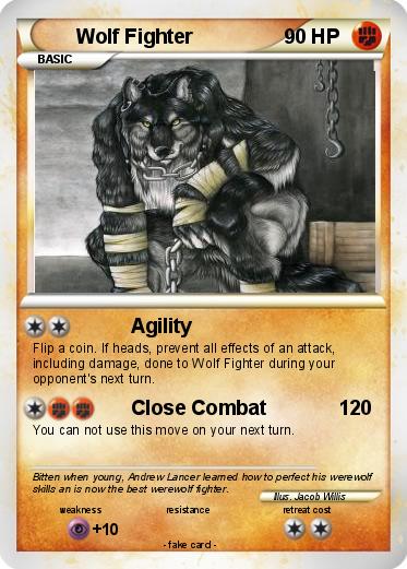 Pokemon Wolf Fighter