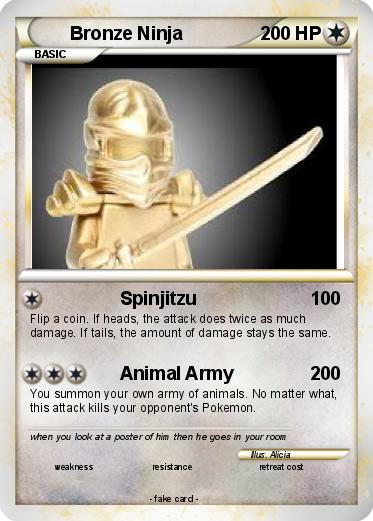 Pokemon Bronze Ninja