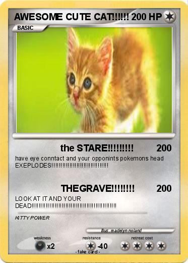 Pokemon AWESOME CUTE CAT!!!!!!