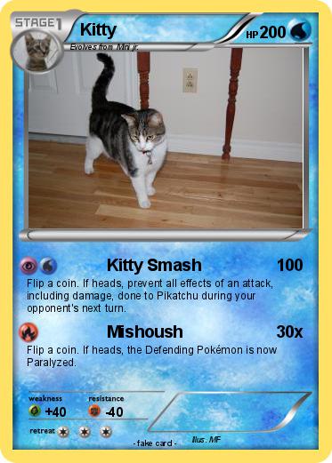 Pokemon Kitty