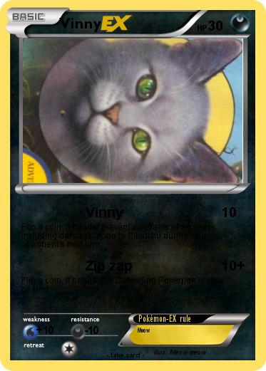 Pokemon Vinny