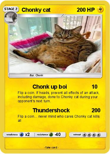 Pokemon Chonky cat