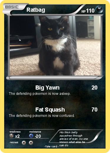 Pokemon Ratbag