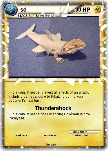 Pokemon sd
