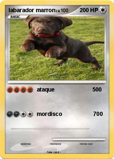 Pokemon labarador marron