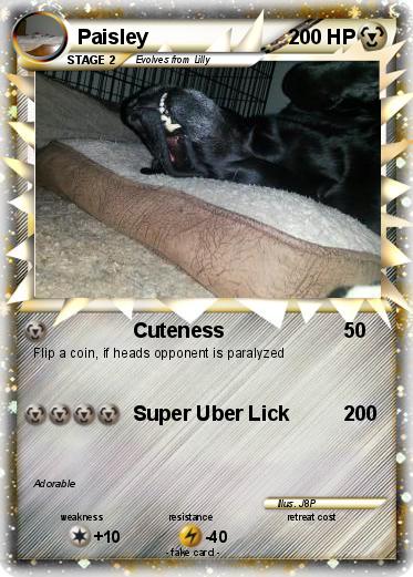 Pokemon Paisley