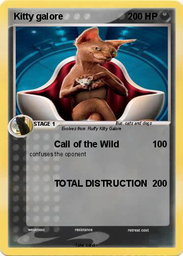 Pokemon Kitty galore