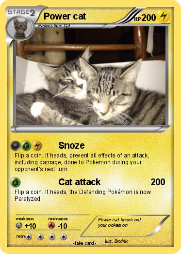 Pokemon Power cat