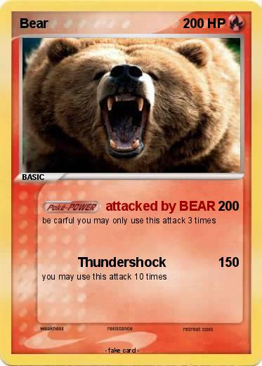 Pokemon Bear
