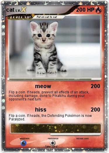 Pokemon cat