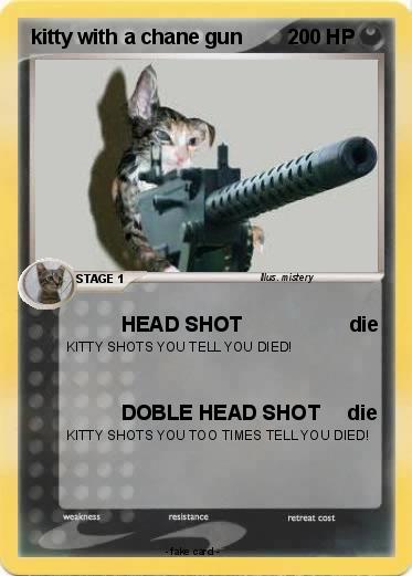 Pokemon kitty with a chane gun