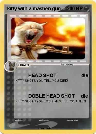 Pokemon kitty with a mashen gun