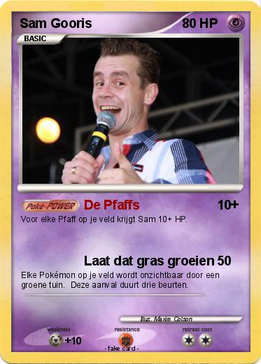 Pokemon Sam Gooris