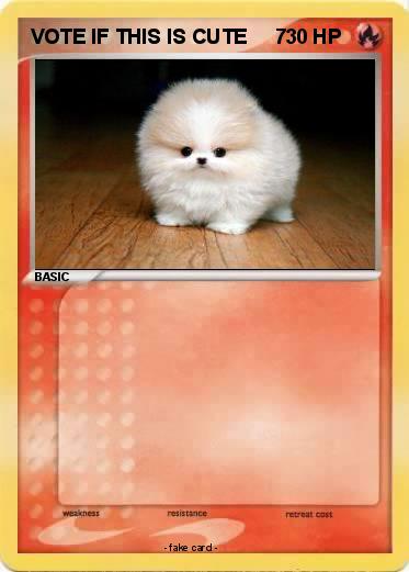 Pokemon VOTE IF THIS IS CUTE     7