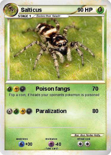 Pokemon Salticus