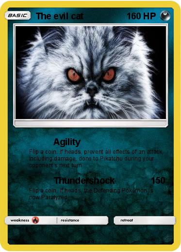 Pokemon The evil cat