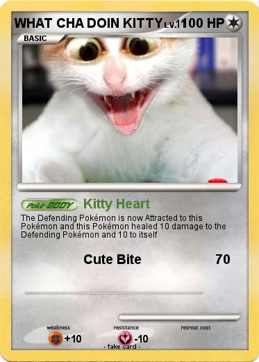 Pokemon WHAT CHA DOIN KITTY