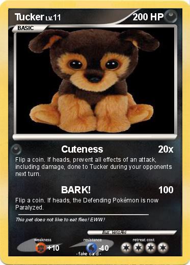 Pokemon Tucker