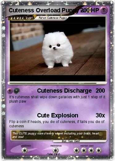Pokemon Cuteness Overload Puppy