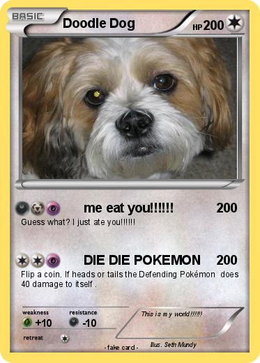 Pokemon Doodle Dog