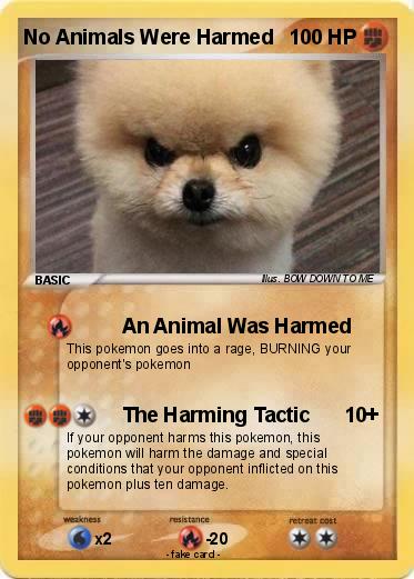 Pokemon No Animals Were Harmed