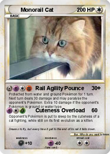 Pokemon Monorail Cat