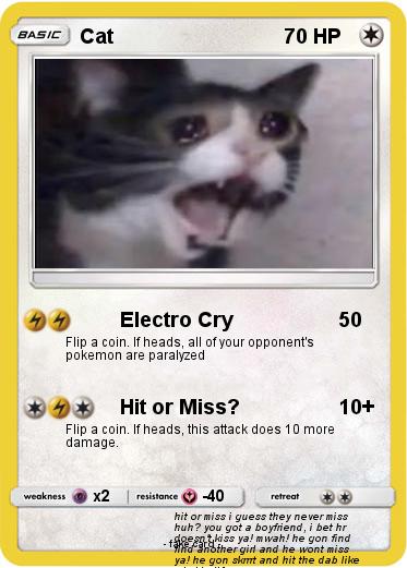 Pokemon Cat