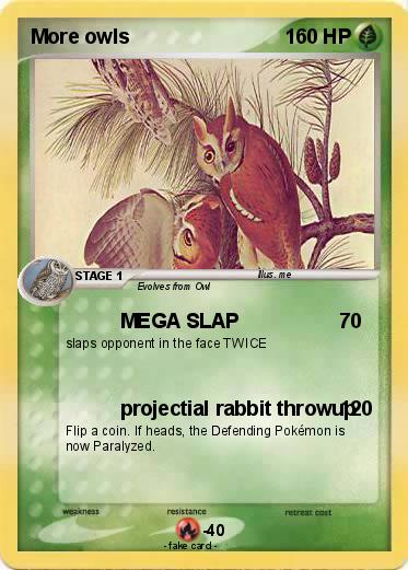 Pokemon More owls