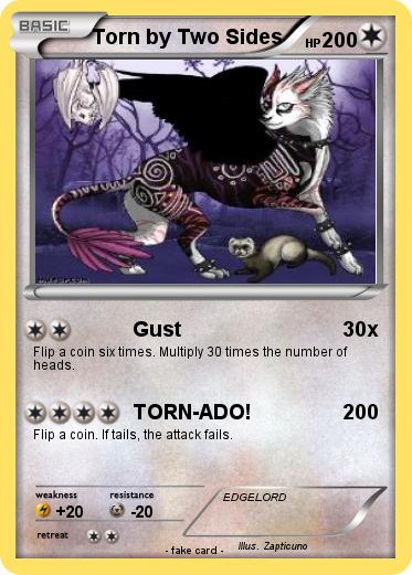 Pokemon Torn by Two Sides